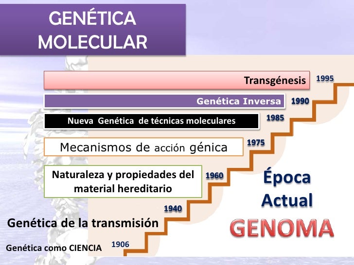 Origem genética Origem genética