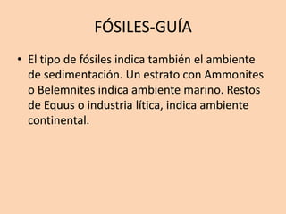 FÓSILES-GUÍA
• El tipo de fósiles indica también el ambiente
  de sedimentación. Un estrato con Ammonites
  o Belemnites indica ambiente marino. Restos
  de Equus o industria lítica, indica ambiente
  continental.
 
