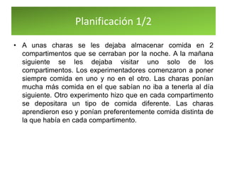 Planificación 1/2
• A unas charas se les dejaba almacenar comida en 2
compartimentos que se cerraban por la noche. A la mañana
siguiente se les dejaba visitar uno solo de los
compartimentos. Los experimentadores comenzaron a poner
siempre comida en uno y no en el otro. Las charas ponían
mucha más comida en el que sabían no iba a tenerla al día
siguiente. Otro experimento hizo que en cada compartimento
se depositara un tipo de comida diferente. Las charas
aprendieron eso y ponían preferentemente comida distinta de
la que había en cada compartimento.
 