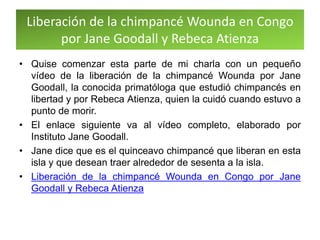 Liberación de la chimpancé Wounda en Congo
por Jane Goodall y Rebeca Atienza
• Quise comenzar esta parte de mi charla con un pequeño
vídeo de la liberación de la chimpancé Wounda por Jane
Goodall, la conocida primatóloga que estudió chimpancés en
libertad y por Rebeca Atienza, quien la cuidó cuando estuvo a
punto de morir.
• El enlace siguiente va al vídeo completo, elaborado por
Instituto Jane Goodall.
• Jane dice que es el quinceavo chimpancé que liberan en esta
isla y que desean traer alrededor de sesenta a la isla.
• Liberación de la chimpancé Wounda en Congo por Jane
Goodall y Rebeca Atienza
 