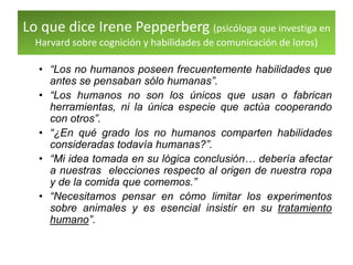 Lo que dice Irene Pepperberg (psicóloga que investiga en
Harvard sobre cognición y habilidades de comunicación de loros)
• “Los no humanos poseen frecuentemente habilidades que
antes se pensaban sólo humanas”.
• “Los humanos no son los únicos que usan o fabrican
herramientas, ni la única especie que actúa cooperando
con otros”.
• “¿En qué grado los no humanos comparten habilidades
consideradas todavía humanas?”.
• “Mi idea tomada en su lógica conclusión… debería afectar
a nuestras elecciones respecto al origen de nuestra ropa
y de la comida que comemos.”
• “Necesitamos pensar en cómo limitar los experimentos
sobre animales y es esencial insistir en su tratamiento
humano”.
 
