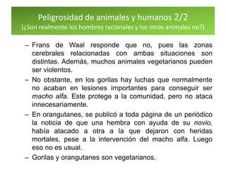 Peligrosidad de animales y humanos 2/2
(¿Son realmente los hombres racionales y los otros animales no?)
– Frans de Waal responde que no, pues las zonas
cerebrales relacionadas con ambas situaciones son
distintas. Además, muchos animales vegetarianos pueden
ser violentos.
– No obstante, en los gorilas hay luchas que normalmente
no acaban en lesiones importantes para conseguir ser
macho alfa. Este protege a la comunidad, pero no ataca
innecesariamente.
– En orangutanes, se publicó a toda página de un periódico
la noticia de que una hembra con ayuda de su novio,
había atacado a otra a la que dejaron con heridas
mortales, pese a la intervención del macho alfa. Luego
eso no es usual.
– Gorilas y orangutanes son vegetarianos.
 