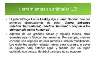Herramientas en animales 1/2
• El paleontólogo Louis Leakey dijo a Jane Goodall, tras las
primeras observaciones de ésta: “Ahora debemos
redefinir 'herramienta', redefinir 'hombre' o aceptar a los
chimpancés como humanos".
• Además de los grandes simios y algunos monos, otros
animales usan y fabrican herramientas. Por ejemplo, muchos
córvidos son capaces de usar ramitas e incluso modificarlas.
Los elefantes pueden adaptar ramas para rascarse, o cavar
un agujero para obtener agua y taparlo con un tapón
fabricado con corteza de árbol para que no se evapore.
 
