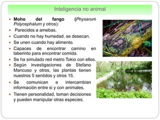 Una pequeña Historia de la Inteligencia Artificial parte I | PDF