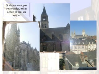 Quelques vues, pas
très réussies, prises
depuis le haut du
donjon .
 