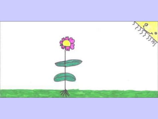 A maior flor do mundo - B2.10