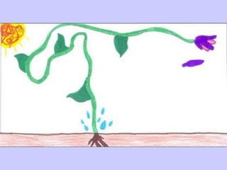 A maior flor do mundo - B2.10