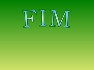 Historia maria castanha