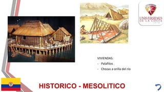 HISTORICO - MESOLITICO
VIVIENDAS:
- Palafitos
- Chozas a orilla del río
 