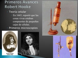 <ul><ul><li>Teoría celular </li></ul></ul><ul><ul><ul><li>En 1665, reportó que las cosas vivas estaban compuestas de peque...