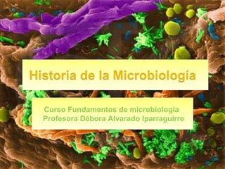 Curso Fundamentos de microbiología  Profesora Débora Alvarado Iparraguirre 