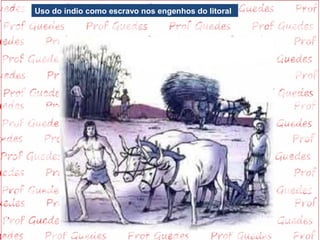Uso do índio como escravo nos engenhos do litoral
 