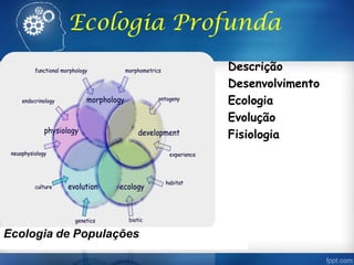 Ecologia Profunda
Descrição
Desenvolvimento
Ecologia
Evolução
Fisiologia
Ecologia de Populações
 
