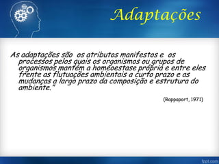 Adaptações
As adaptações são os atributos manifestos e os
processos pelos quais os organismos ou grupos de
organismos mantém a homeoestase própria e entre eles
frente as flutuações ambientais a curto prazo e as
mudanças a largo prazo da composição e estrutura do
ambiente.”
(Rappaport, 1971)
 