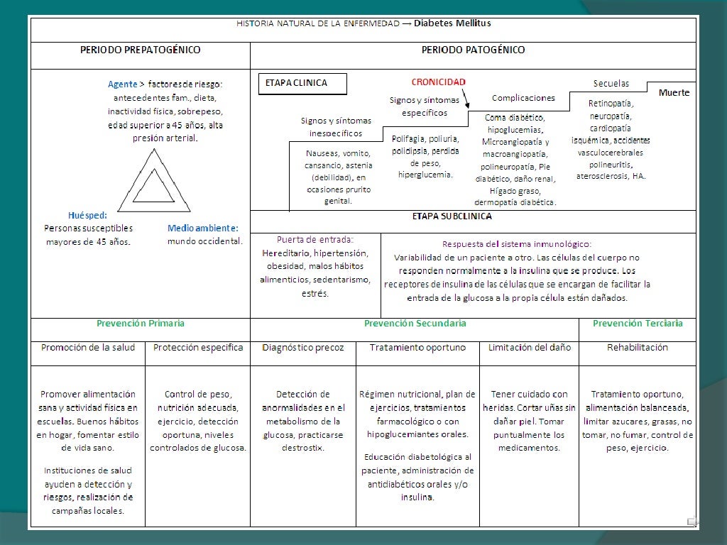 Historia natural: Diabetes Mellitus Historia natural: Diabetes Mellitus
