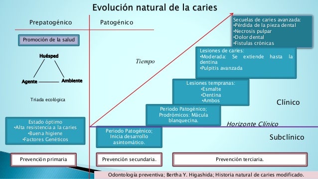 Historia Natural De La Enfermedad Caries