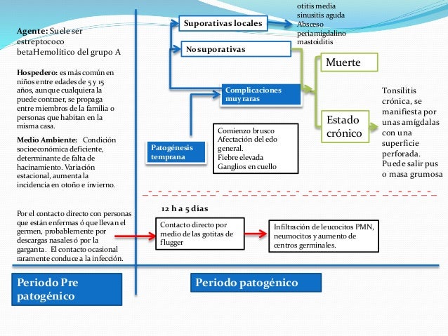 Resultado de imagen para periodo prepatogenico de la amigdalitis