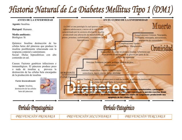 Historia natural de la diabetes mellitus tipo 1 | PPT