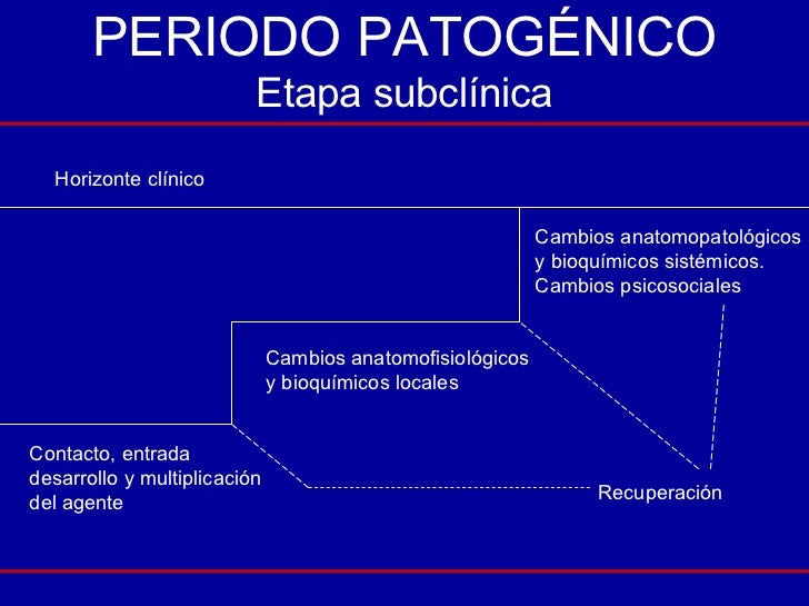 Historia Natural De La Enfermedad Historia Natural De La Enfermedad