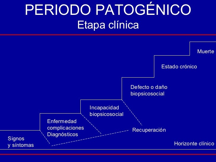 Historia Natural De La Enfermedad Historia Natural De La Enfermedad