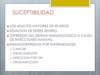 SUCEPTIBILIDADLOS ADULTOS MAYORES DE 60 AÑOS.SITUACION DE ESTRÉS SEVERO.DEPRESION DEL SISTEMA INMUNOLOGICO A CAUSA DE INFECCIONES MASIVAS.INMUNODEPRESION POR ENFERMEDADES:CANCER