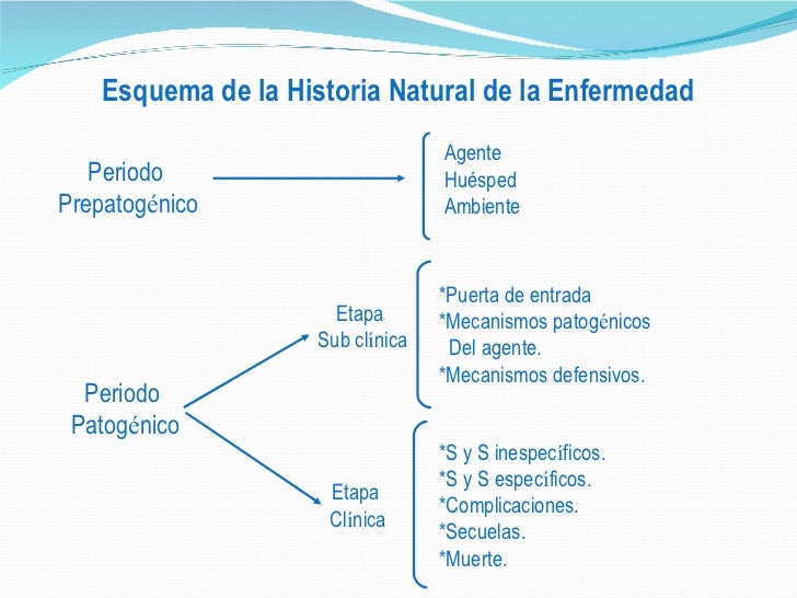 Historia natural de la enfermedad.