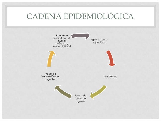 Historia natural de la enfermedad (2) Historia natural de la enfermedad (2)