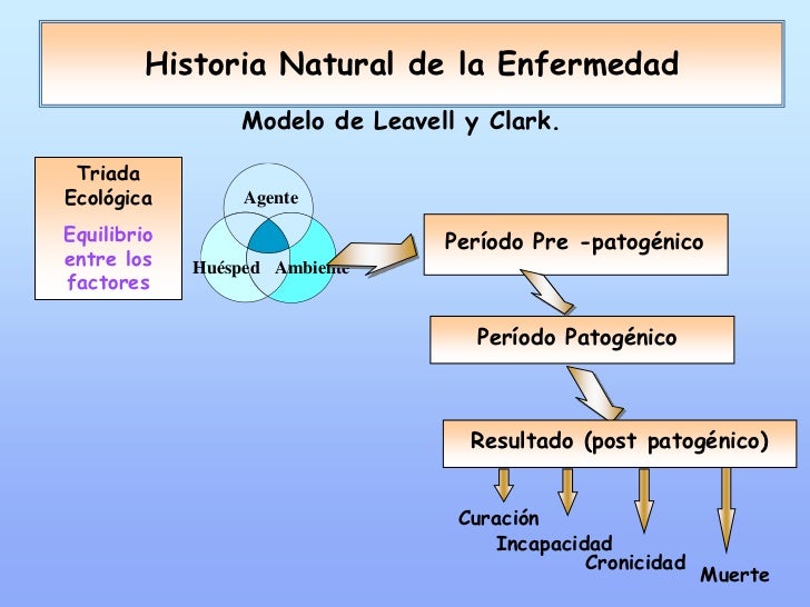Teórico Historia Natural de la Enfermedad y Niveles de