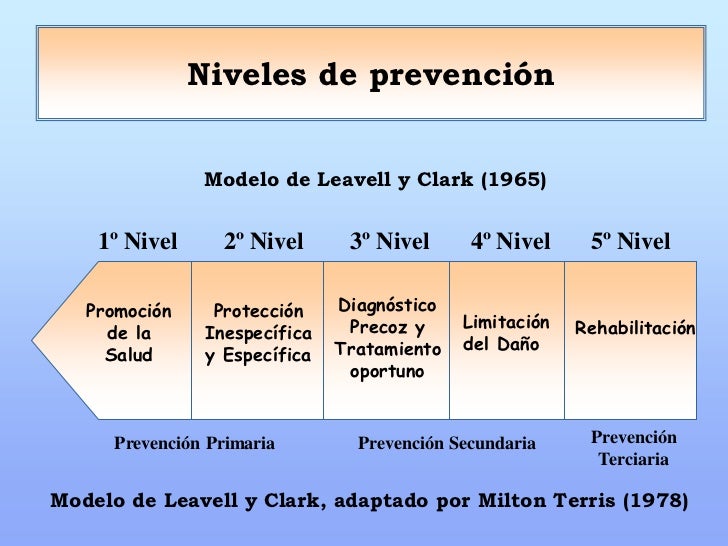 Historia Natural de la Enfermedad