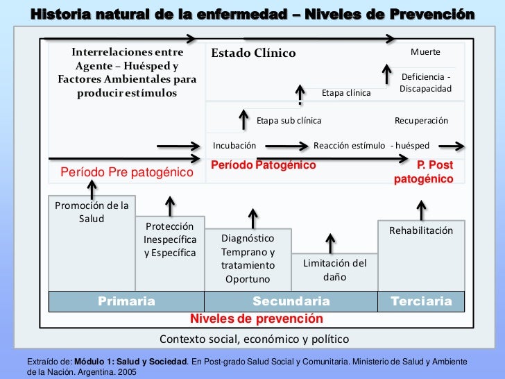 Historia Natural de la Enfermedad