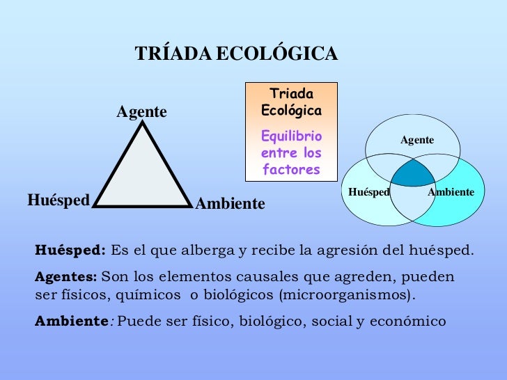 cadena epidemiologica poliomelitis historia natural de la enfermedad cadena epidemiologica poliomelitis historia natural de la enfermedad