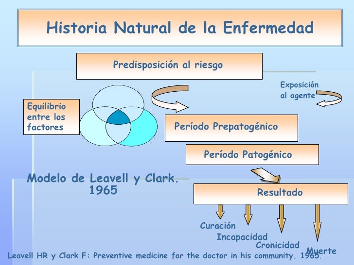 Historia Natural De La Enfermedad Leavell Y Clark Esquema