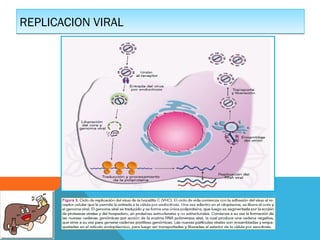 REPLICACION VIRAL

 