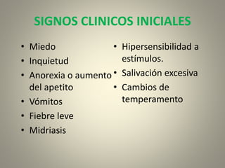 SIGNOS CLINICOS INICIALES
• Miedo
• Inquietud
• Anorexia o aumento
del apetito
• Vómitos
• Fiebre leve
• Midriasis
• Hipersensibilidad a
estímulos.
• Salivación excesiva
• Cambios de
temperamento
 