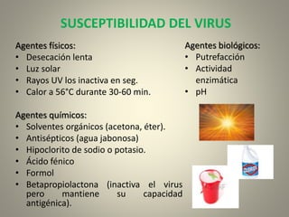 SUSCEPTIBILIDAD DEL VIRUS
Agentes físicos:
• Desecación lenta
• Luz solar
• Rayos UV los inactiva en seg.
• Calor a 56°C durante 30-60 min.
Agentes químicos:
• Solventes orgánicos (acetona, éter).
• Antisépticos (agua jabonosa)
• Hipoclorito de sodio o potasio.
• Ácido fénico
• Formol
• Betapropiolactona (inactiva el virus
pero mantiene su capacidad
antigénica).
Agentes biológicos:
• Putrefacción
• Actividad
enzimática
• pH
 