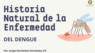 Historia
Natural de la
Enfermedad
DEL DENGUE
Por: sergio Hernández Hernández 2°E
 