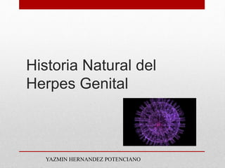 Historia Natural del
Herpes Genital
YAZMIN HERNANDEZ POTENCIANO
 