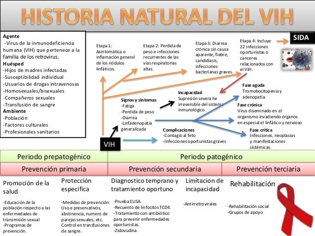 Quemadores de grasa abdominal para mujeres naturales photo 1