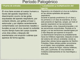 Período Patogénico
* Puerta de entrada: * Localización y multiplicación del
agente:
El virus tiene acceso al cuerpo humano a
través del aparato respiratorio, la
diseminación ocurre vía las gotas
expulsadas del aparato respiratorio, por
contacto directo, por gotitas al toser o
estornudar y por objetos recientemente
contaminados con secreciones nasales o
bucales ya que el virus causal no subsiste
mucho tiempo fuera del cuerpo durante
unos días antes y después del
exantema(es una erupción cutánea que
aparece de forma aguda).
Siguiendo a la inhalación el virus se multiplica
en las células epiteliales del aparato
respiratorio.
Durante el periodo prodrómico (2 a 4 días) y
los primeros 2 a 5 días de exantema, el virus
está presente en lágrimas, sangre, por todo el
aparato respiratorio en las secreciones
nasofaríngeas, orina, traqueobronquiales, y en
las secreciones conjuntivales. Persiste en la
sangre y en las secreciones nasofaríngeas por
2 días después que aparece la erupción.
La diseminación temprana es probablemente
hacia los linfáticos regionales; después al resto
del sistema del retículo endotelial, donde se
desarrollan células típicas gigantes de Warthin-
Finkeldey. Estas células pueden encontrarse
en el hígado, bazo amígdalas, adenoides
apéndice, placas de Peyer, nódulos linfáticos,
timo, piel y pulmones. El virus también se
multiplica extensamente en los macrófagos y
linfocitos.
 