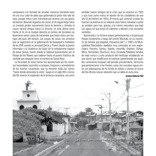 campanario con fachada de arcadas moriscas haciendo base
de una cruz color de plata que gobernaba la parte más alta de
este, paisaje mítico rural, transitado por arrieros con sus piaras
de bestias, llevando árguenas de cacao; el río seguía largo hacia
un costado giraba nuevamente hacia la derecha y tomaba el
cauce natural antiguo hacia La Victoria, en esta última recta
frente al río en la margen derecha al camino de herradura se
levantaron varias casas de haciendas que hasta ahora son tes-
tigos del paso del tiempo; Las cargas de cacao, las primeras
que se registraron en la gobernación de Guayaquil a mediados
de los XVII cuando su principal García y Pizarro desde el puerto
informaba a la Audiencia de Quito de la exhuberante riqueza
de estas tierras, fueron desde la Sabanal buenavisteño por el
Pasaje de las Nieves que salieron hasta el puerto histórico de
Jambelí que después tomo el nombre de Santa Rosa.
La feracidad de estas tierras fue aprovechada por los mesti-
zos hacendados asumidos a caciques, finqueros y arrendatarios
de las huertas cacaoteras, que se tomaron todas las tierras
“hasta donde alcanzaba la vista”, luego en el siglo XIX e inicios
del XX vivieron el esplendor de la bonanza cacaotera, así como
también fueron testigos de la crisis que se acentuó en 1925
y que tuvo como marco el aluvión de las candelarias de ese
año (2 de Febrero de 1925), el mismo que convirtió a todas las
huertas cacaoteras en un sabanal, pero fueron salvadas cuando
ya estaban para irse, gracias a la misma naturaleza que bajó
sus aguas sin que éstas se calienten y afecten a los seculares
sembríos.
Buenavista y La Victoria anejos pertenecientes a la parroquia
Pasaje inicialmente y luego del cantón Machala, en su inventa-
rio de tiendas que pagaban impuestos del 1 x 1000 a la Muni-
cipalidad Machaleña, apellidos muy conocidos en esa región:
Calero, Pazmiño, Santos, Tejedor, Jaramillo, Ordóñez, Zúñiga,
Mora, Hernández, Chuchuca, Arce, Encalada Paladines familias
de viejo tronco y cuño producto del mestizaje establecido en
ese sector que modificaron al colonizar penetrándolo por aque-
llos centenarios bosques del periodo precolombino, territorios
que pertenecieron a los Punáes cuyos ríos surcaban aguas arri-
ba con palanqueros de río hondo en balsas y canoas en busca
del Teo-Broma (cacao silvestre) que se daba en esta zona.
Archivo Editorial P&C
La Victoria, parroquia del Cantón Santa Rosa - Febrero 2012
10
 