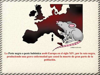 La Peste negra o peste bubónica asoló Europa en el siglo XIV, por la rata negra,
produciendo una grave enfermedad que caus...