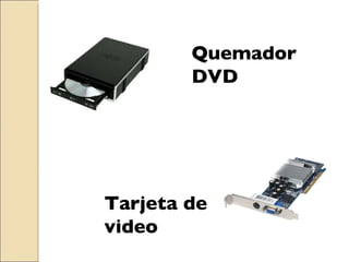 Quemador  DVD Tarjeta de video 