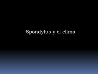 Spondylus y el clima