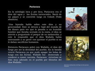 Las corrientes cálidas  sub superficie  que se producen  antes del fenómeno del niño, permitirían la invasión de conchas Spondylus  princeps bajo los 30 m y 15 de profundidad  frente a costas ecuatorianas antes  de que el calentamiento de aguas superficiales produzcan la lluvia torrenciales propias de este ciclo climáticoLa corriente de Humboldt es el resultado  de un fenómeno que trae aguas frías  de las profundidades hacia la superficie, el enfriamiento  de las aguas a los 30 m precede al enfriamiento superficial lo que produciría la ausencia del Spondylus Princeps del área , antes de que el enfriamiento produzca efectos desecadores  de las costas. 