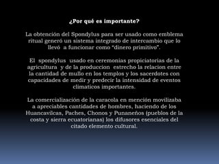 Alcance del Spondylushttp://samuelancajima.blogspot.com/2010/11/el-spondylus-en-la-historia.html