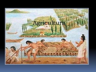 agriculturaAgricultura