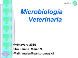 Índice
Microbiología
Veterinaria
•Primavera 2016
•Dra Liliana Maier N.
•Mail: lmaier@santotomas.cl
 