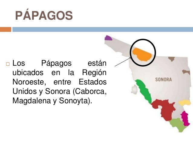 Etnias de Sonora