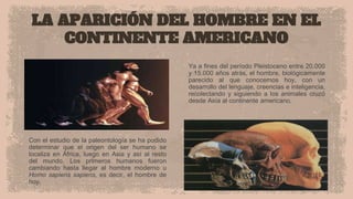 LA APARICIÓN DEL HOMBRE EN EL
CONTINENTE AMERICANO
Con el estudio de la paleontología se ha podido
determinar que el origen del ser humano se
localiza en África, luego en Asia y así al resto
del mundo. Los primeros humanos fueron
cambiando hasta llegar al hombre moderno u
Homo sapiens sapiens, es decir, el hombre de
hoy.
Ya a fines del período Pleistoceno entre 20.000
y 15.000 años atrás, el hombre, biológicamente
parecido al que conocemos hoy, con un
desarrollo del lenguaje, creencias e inteligencia,
recolectando y siguiendo a los animales cruzó
desde Asía al continente americano.
 