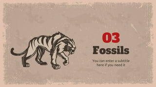 Fossils
You can enter a subtitle
here if you need it
03
 